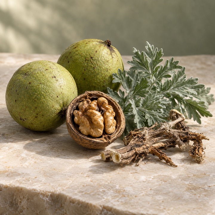 Black walnut hulls with wormwood leaves and roots